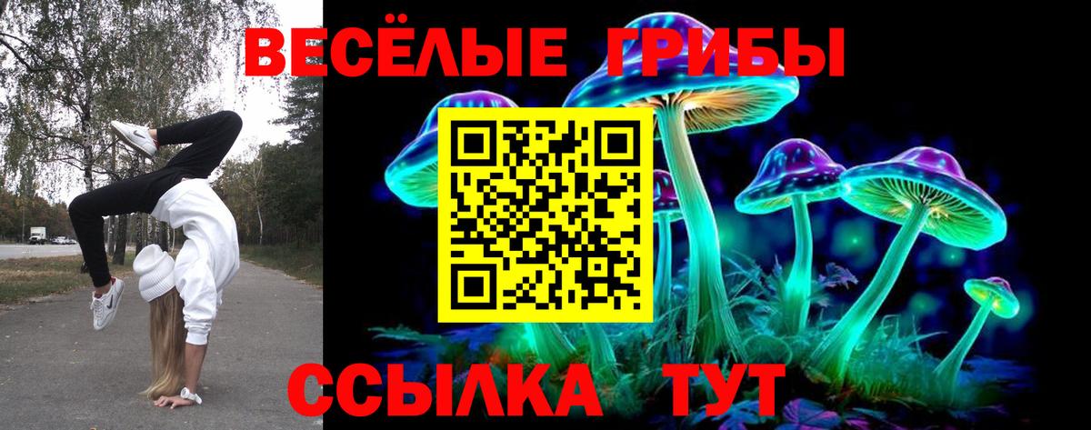 Десногорск  Вход с VPN  Марихуана  Экстази  КОКАИН  МЕФ кристаллы  Гашиш  ГАШ  Alpha PVP СК кристаллы  МЕТАДОН 